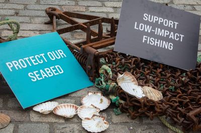 Conservation groups hit out at ‘unfulfilled promises’ over Scotland’s seabed