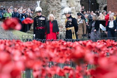 Queen visits powerful poppy display at Tower of London as part of VE Day commemorations
