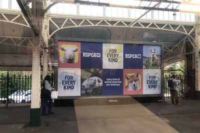 RSPCA ad campaign cleared following complaints by campaigners