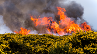 Watch aerial footage of devastating wildfire burning UK's treasured Dartmoor national park during record-breaking temperatures