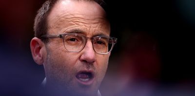 Greens leader Adam Bandt and Teal Zoe Daniel likely to lose their seats
