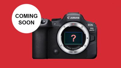 Will the Canon EOS R6 Mark III deliver pro results with a 24MP stacked sensor?