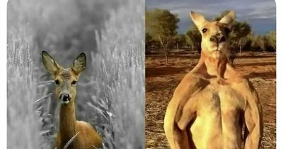 50 Funny, Relatable, And Just Silly Memes From This Instagram Account (New Pics)