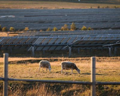 More than 40% of electricity used in Australia’s main power grid at start of year was renewable