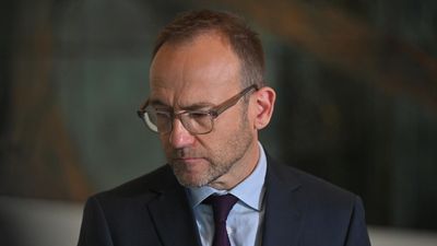 Greens mired in group-think and gen Z zone: co-founder