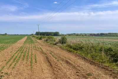 Summer drought and hosepipe ban fears as England experiences dry start to spring