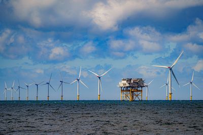 Windfarm which could power 1 million UK homes scrapped over rising costs