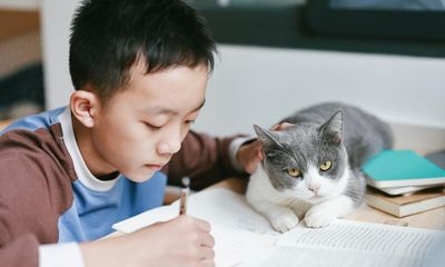 Does your child identify as a cat? There’s a man in Texas who can help
