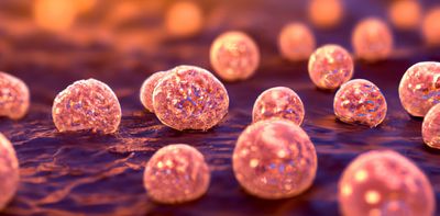 Antibiotic resistance dates back millions of years, with important lessons for modern medicine