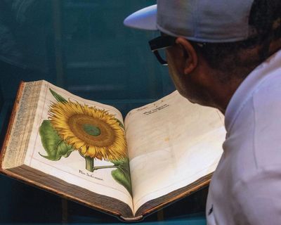 Food and freedom: exhibition charts radical history of gardening in Britain