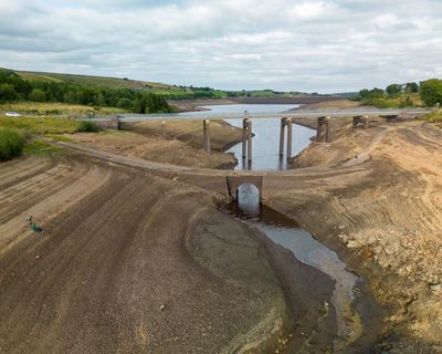 Drought conditions already hitting UK crop production, farmers say