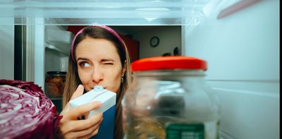 Your fridge might be a breeding ground for bacteria – here’s how to fix it