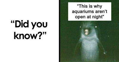 14 Creepy Facts Not For The Faint-Hearted, As Shared On This Instagram Page