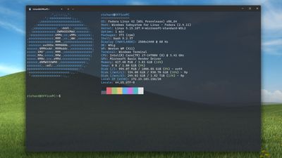 Microsoft reminds us of another big name supporting WSL that you can now use