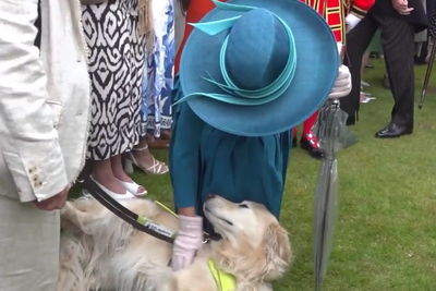 Queen Camilla delighted by ‘attention-seeking’ guide dog at Buckingham Palace garden party