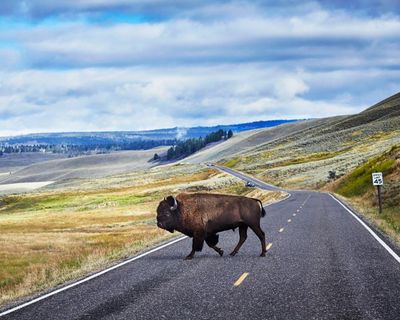 Trump reportedly eyes $26m in funding cuts for US national parks