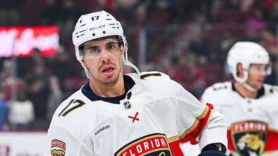 Panthers' Evan Rodrigues Called for Embellishment on Hit That Sent Him to Locker Room