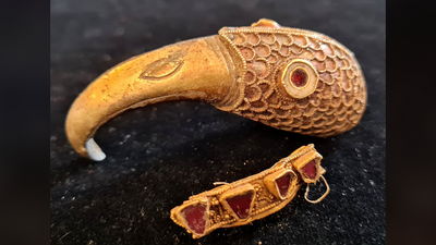 Metal detectorists unearth dazzling Anglo-Saxon gold-and-garnet raven head and ring: 'It's unbelievable — I'm a bit emotional'
