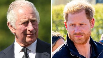 Prince Harry's comments about King Charles' death spark uproar
