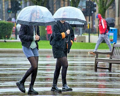 Weatherwatch: British data artist shows it’s always raining somewhere – almost