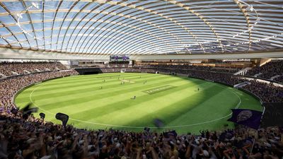 Club would 'lose millions' without new AFL stadium