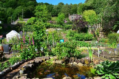 Forget cottagecore, allotment chic is the new hot look