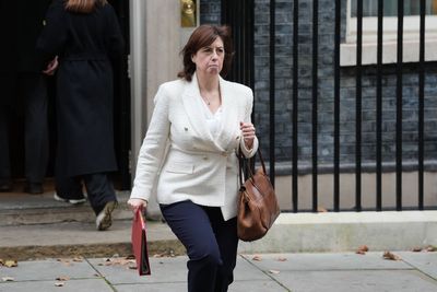 Lucy Powell apologises to grooming gang victims over ‘dog whistle’ remarks