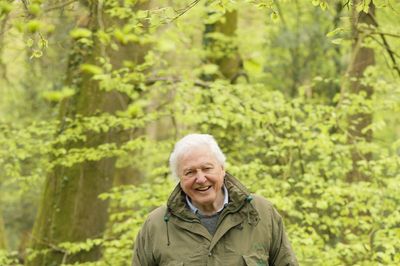 OPINION - At 99, David Attenborough still wants to change the world