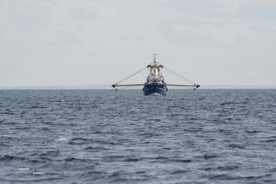 Ministers accused of ‘still breaking the law’ over fishing licences