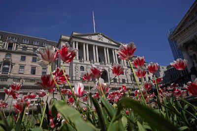 Bank cuts interest rates to 4.25% as tariff tensions dampen growth