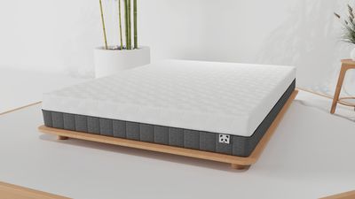 Panda Hybrid Bamboo Mattress review 2025: Back pain relief for those with smaller budgets