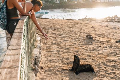 Overtourism is threatening wildlife – here’s how to have a responsible holiday