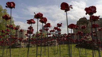 World marks 80 years since Victory in Europe Day under the shadow of war