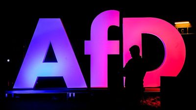 Germany's intelligence agency suspends AfD party's 'extremist' classification