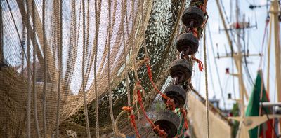 David Attenborough’s Ocean reveals how bottom trawling is hurting sealife in horrifying detail