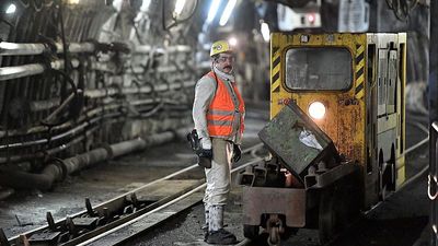 2025 is ‘a pivotal year for methane mitigation’ in EU thanks to world-first rules. What’s changing?