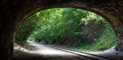 Old drains and railways are full of life. Here’s how to make the most of these overlooked green spaces