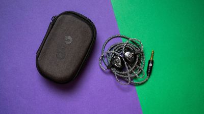 Oriveti's Blackbird are entry-level IEMs that soar high