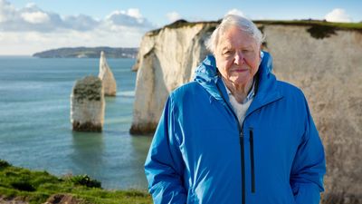 Sir David Attenborough turns 99 and gifts us his most visually powerful ocean film yet!