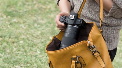 Canon's new 75-300mm lens: Looks like it isn't just the US that's missing out, at least for now