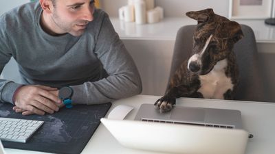 Baidu developing AI-driven animal to human translator – Dr Doolittle plans revealed in patent application