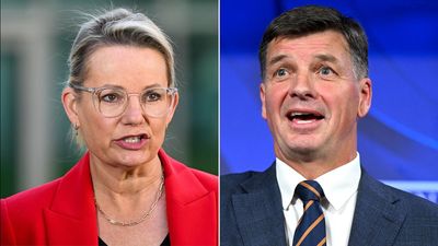 Regaining trust: duel to decide future Liberal leader