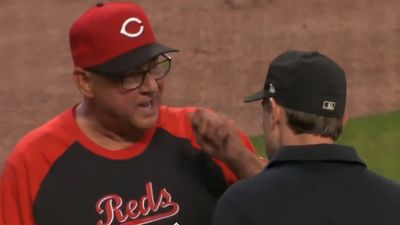 Controversial Call Just Before Braves Walk-Off Earned Terry Francona Ejection