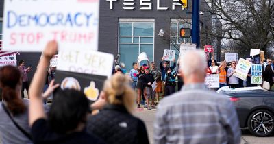 I'm an activist targeting Tesla – here's why I want to take down Elon Musk