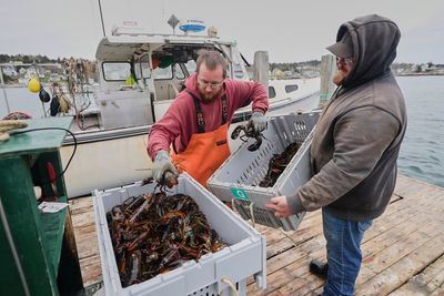 Fishermen battling with changing oceans chart new course after Trump's push to deregulate
