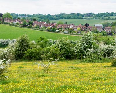 Sadiq Khan to announce plans to build houses on London green belt