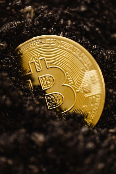 Crypto Casinos Surge to $81 Billion in 2024 Amid Global Scrutiny