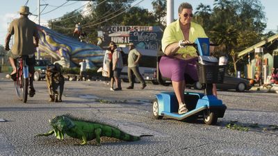 Bodega cats, trash pandas, and a great white shark: the real stars of the GTA 6 reveal are all the animals hiding in plain sight