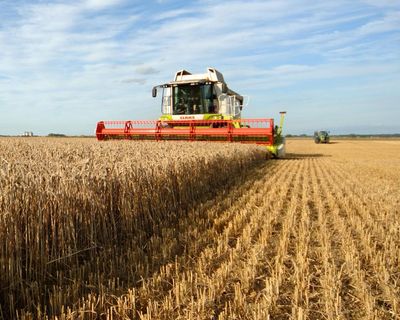 European and British soils seriously degraded by intensive farming