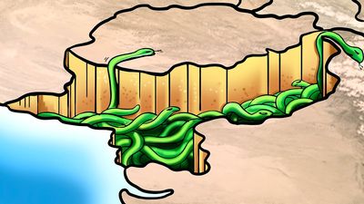 From patron to prey: The rise and fragmentation of Pak’s terror landscape